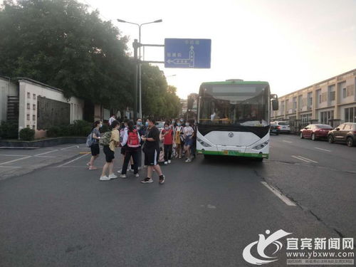 助力健康起航 市公交公司为高中学子开通“如约助检”体检专线服务